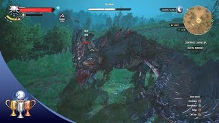 The Witcher 3 Wild Hunt  Shrieker Contract Quest Walkthrough and Trophy Guide [upl. by Ysnil407]