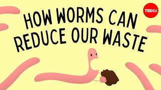 Vermicomposting How worms can reduce our waste  Matthew Ross [upl. by Schuster]