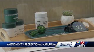 Amendment 3 Florida voters to decide on legalization of recreational marijuana [upl. by Gervais]