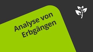 Übung zu Der Stammbaum  Analyse des Erbganges  Biologie  Genetik [upl. by Sirrap312]