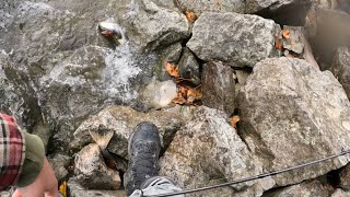 First salmon on a spoon Skykomish River [upl. by Gerrie755]