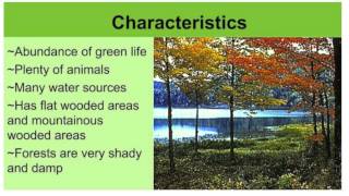 Temperate Deciduous Forest Biome Presentation Lavadia BIO [upl. by Ennoira]