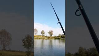 FEEDER CARP FISHING fishing ribolov carpfishing fish [upl. by Gershon]