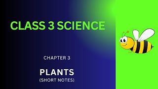 Class 3 Science Notes  Plants Ch 3 Short Notes PDF  Grade 3 Science Plants Class Notes  eBook App [upl. by Swanhildas]