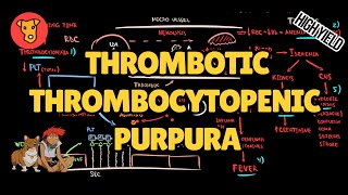 THROMBOTIC THROMBOCYTOPENIC PURPURA Pathogenesis Mechanism of clinical symptoms TTP Treatment [upl. by Alyt]