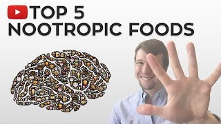 The TOP 5 Nootropic Foods [upl. by Sholom]