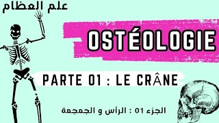 Ostéologie  Parte 01  le crâne ☠️ علم العظام  الجزء الاول  الجمجمة [upl. by Alokin723]