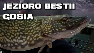 Fishing Sim World Pro Tour Trophy Fish Gosia Jezioro Bestii [upl. by Neerehs913]