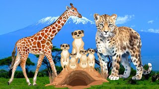 Wild Animal Noises in Africa 🦓 Cheetah Giraffe Wild Dog Meerkat Crocodile Wildebeest and more [upl. by Stutsman912]