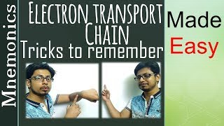 Electron Transport Chain and its mechanism BiochemistryBPharmacyBScNursingIn Hindi [upl. by Ruddy]