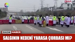 Salgının nedeni yarasa çorbası mı [upl. by Logan62]