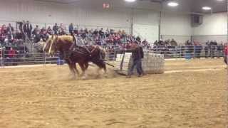 Orangeville Horses Pull 18000 lbs 2013 [upl. by Roinuj]