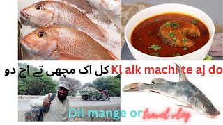 Dil mange or   aj do machi  bhot mza machi khane ka  i love sports shikar [upl. by Ellevehs]