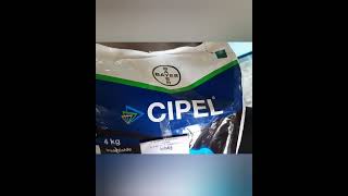 💥🌾bayer cipel insecticide  chlorantraniliprole 04  gr  bayer company shorts [upl. by Ainavi]