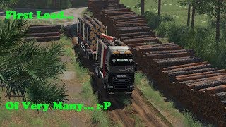 FS19  Forestry On Holmåkra  First Load  Timelapse  S02 EP22 [upl. by Etteneg]