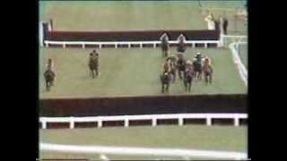 1988 Arkle Challenge Trophy Chase [upl. by Enihpesoj]