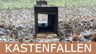 Fallenjagd mit Kastenfallen Teil 1 Die Holzkastenfalle Umbau und Marderfang Fangjagd TV [upl. by Etennaej]