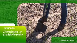 Cómo hacer un análisis de suelo │ Agro en 2 minutos [upl. by Hubing]