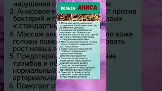 Полезно знать польза аниса [upl. by Buke]