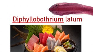 Diphyllobothrium latum [upl. by Zebulen]