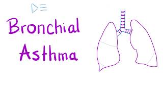 Bronchial Asthma  Airway Disease  Pulmonology Series [upl. by Gretchen451]