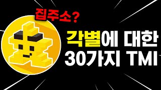 각별에 대한 당신이 모르는 30가지 TMI 얼공 [upl. by Barncard]