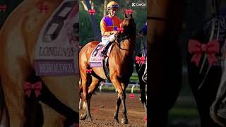 Lady B💎🩵 horse racehorse horseracing beholder edit [upl. by Nakeber666]