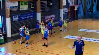 Forum Mini basket 2019 orthez [upl. by Neirol]