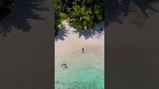 Most Beautiful Tropical Island seychelles paradise 4k [upl. by Enylhsa]