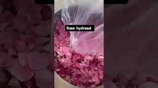 Rose hydrosol music skincare handmadesoap [upl. by Avlasor]