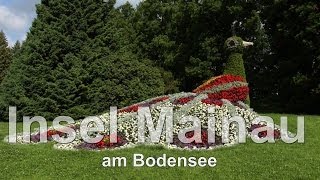 Bodensee die Insel Mainau ein Rundgang über die Insel mit einzigartiger großartigen Blumenbracht [upl. by Aiz]