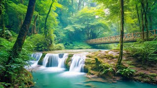 Relaxing Music For Stress Relief Anxiety and Depressive States • Heal Mind Body and Soul [upl. by Atiekan]