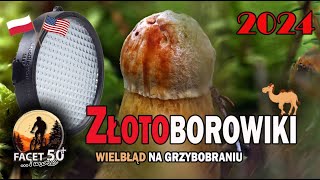 Las i grzyby  wielbłąd na grzybobraniu 2024 4K [upl. by Palmore]