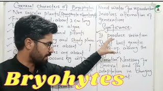 General characteristics of bryophytes  Class 11 Biology [upl. by Aicenaj]