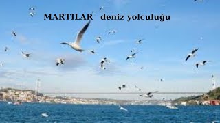 MARTILAR DENİZ YOLCULUĞU [upl. by Etteniotna36]