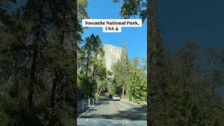 America dincolo de zgarienori Parcul National Yosemite 🌲 travel usa youtubeshorts [upl. by Elayne]