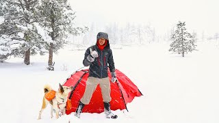 Storm Tent Dog [upl. by Michelsen820]