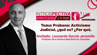 Activismo Judicial ¿qué es ¿Por qué para quién [upl. by Shewmaker]