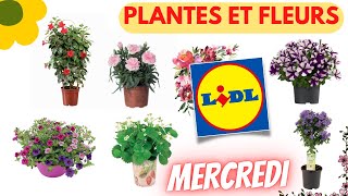 💥 ARRIVAGE LIDL💥 PLANTES ET FLEURS  4 mai 2022  19 OFFRES  FRANCE [upl. by Sirhc525]