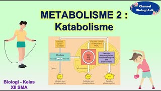 Metabolisme part 2  Katabolisme  Biologi kelas 12 SMA [upl. by Nad754]