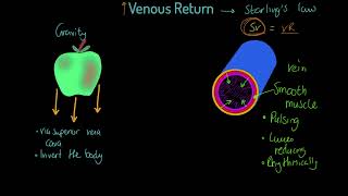 OCR Alevel PE Venous Return [upl. by Ceciley]