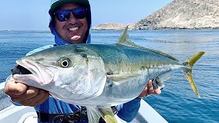 Two Incredible YELLOWTAILS  CEDROS ISLAND FISHING 33 [upl. by Lajib653]