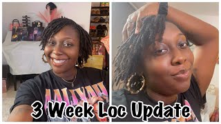 3 Week Loc Update  Comb Coils [upl. by Eitteb]