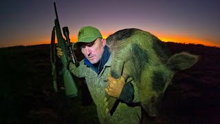 Building a huge Wild Boar Trap Catch Clean Cook Feral Hogs are Taking OVER the Ranch [upl. by Dorreg]