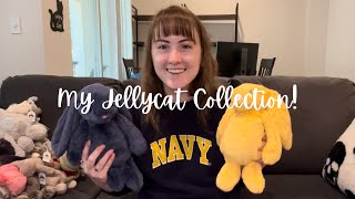 My ENTIRE Jellycat Collection  taycollects [upl. by Akinimod]