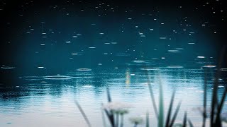 Rain on Pond White Noise  Sleep Study or Focus with Relaxing Rainstorm Sound  10 Hours [upl. by Hguh]