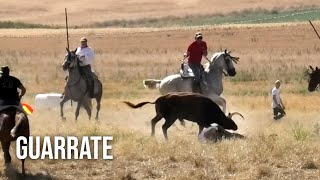 Guarrate 2024 Tradicionales Espantes con Toros Bravos [upl. by Eadrahc]