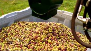 Aspiratore ed Avvolgitore per olive CRF 2012wmv [upl. by Arutnev]