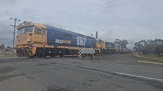 7734V PN loaded grain 8167X508163 Murtoa to Geelong 1017 241124 Stawell VIC [upl. by Kumagai]