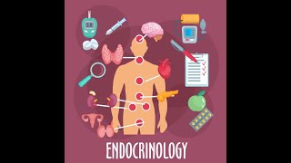 Endokrinologie  Fachbegriffe  Dr Ahmed Solyman [upl. by Stevie870]